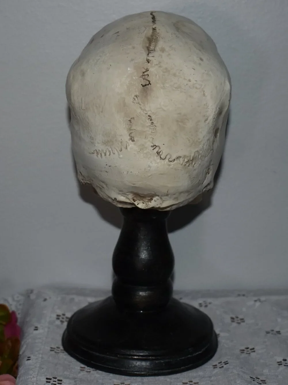 Gothic Horror Realistic Skeleton Skull on Pedestal Spooky Halloween Decor